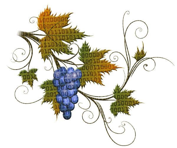 grape vine graphics