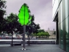 a funny green tree